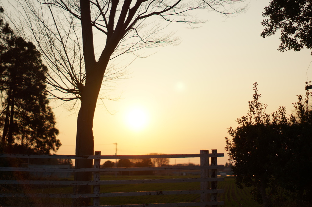 今日の夕日 ＃2 (2017/4/2)