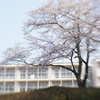 学校の春休み