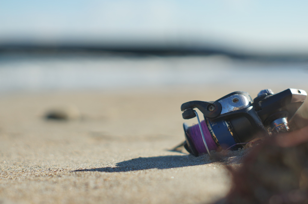 冬の海に