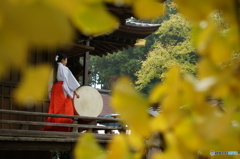 凛々しく、そして美しく。