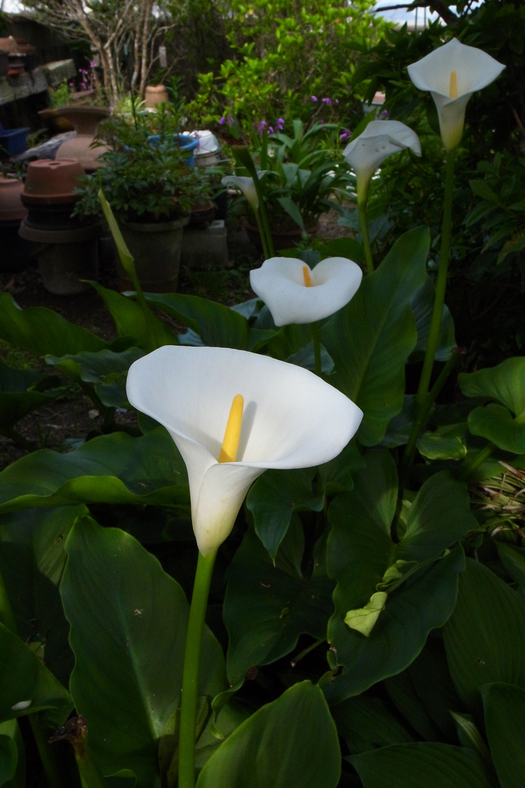 R0014860