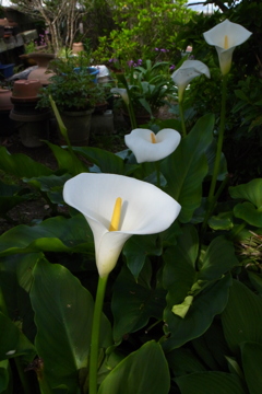 R0014860