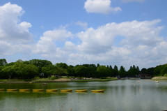 DSC_9869