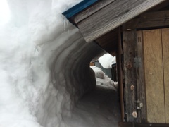 雪のトンネル