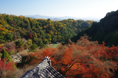 大悲閣から京都の眺め