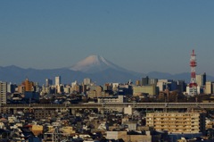 元日の富士山