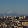 元日の富士山
