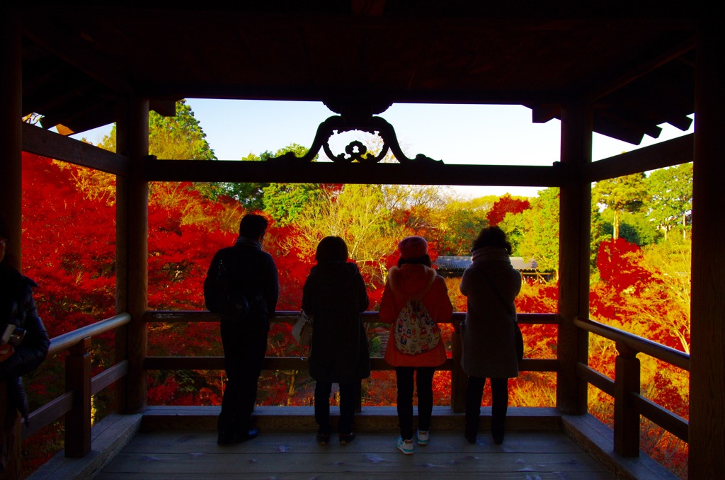 東福寺の通天橋と紅葉