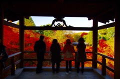 東福寺の通天橋と紅葉