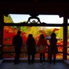 東福寺の通天橋と紅葉