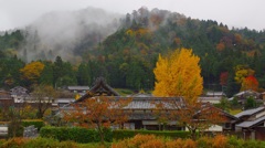 雨上がりの里山