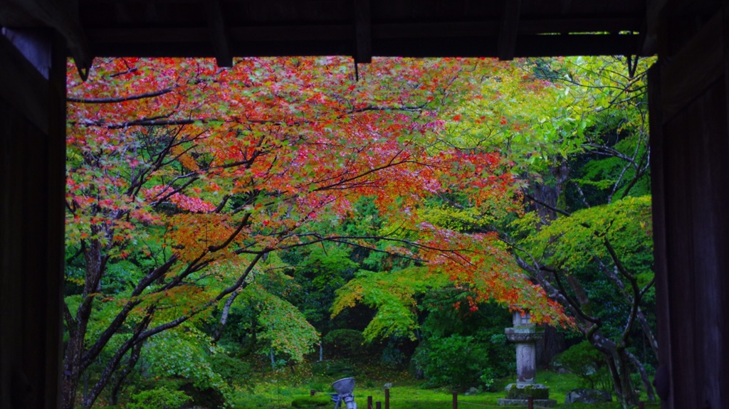 石山寺の秋