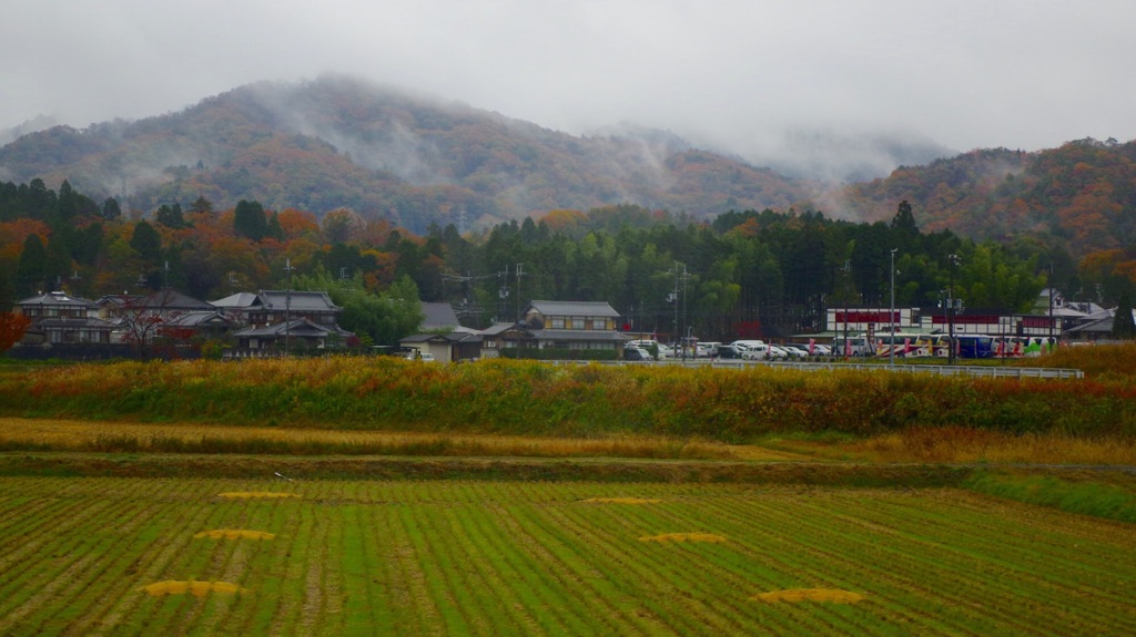 雨上がりの田園風景