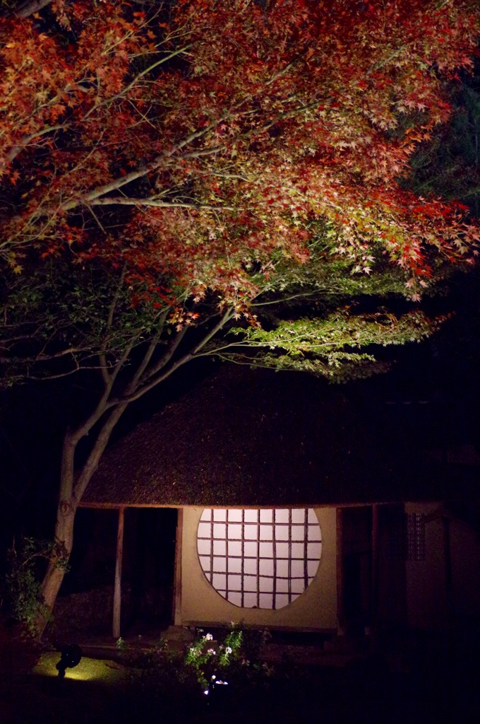 高台寺のライトアップ