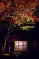 高台寺のライトアップ