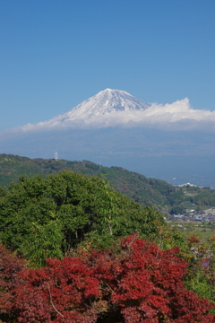 富士川SAから望む富士山