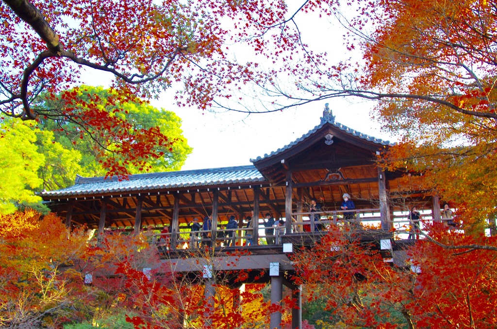 東福寺の通天橋