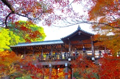 東福寺の通天橋