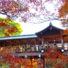 東福寺の通天橋