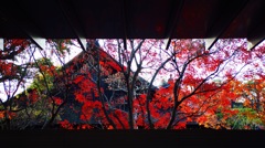平等院の紅葉