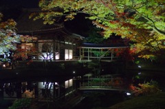高台寺のライトアップ