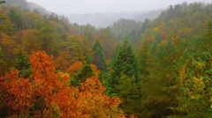 ミホミュージアムの紅葉