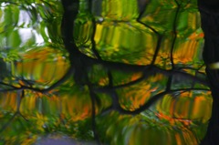水中の秋色