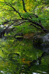 水鏡