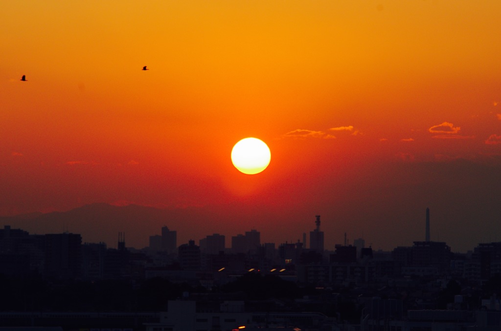 夕日