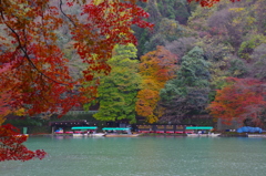 嵐山の秋