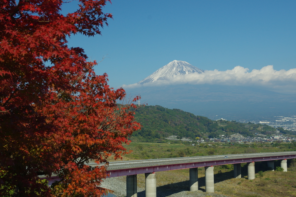 富士川SAから望む富士山