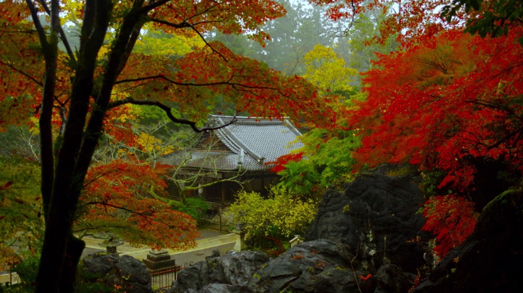 石山寺の秋