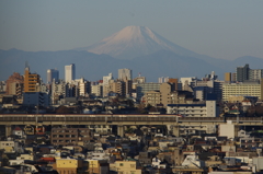 2016年元日の富士