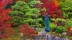 ミホミュージアムの紅葉