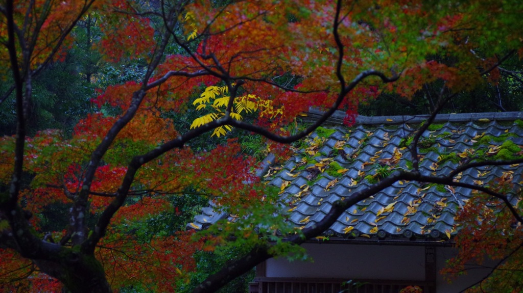 石山寺の秋