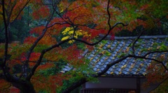石山寺の秋