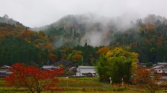 雨上がりの里山