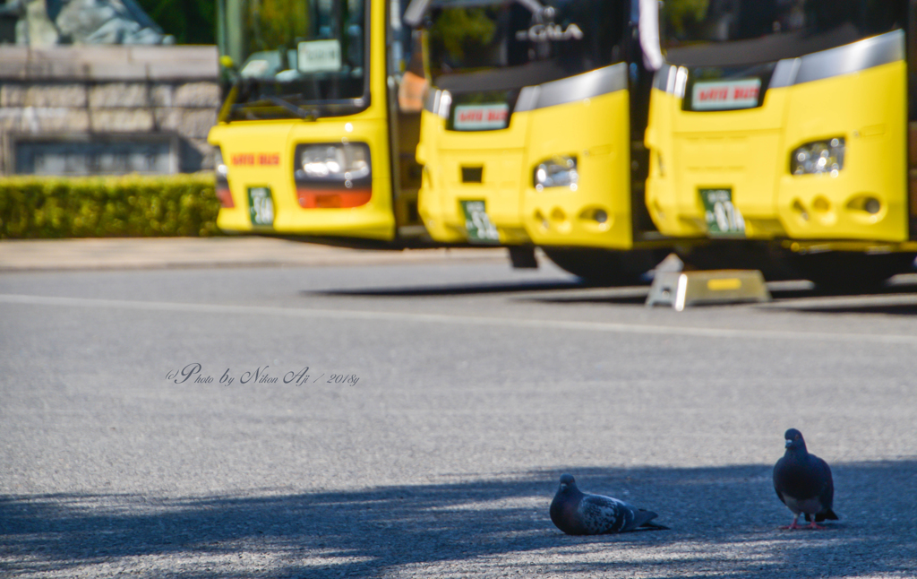 HATO＆HATO