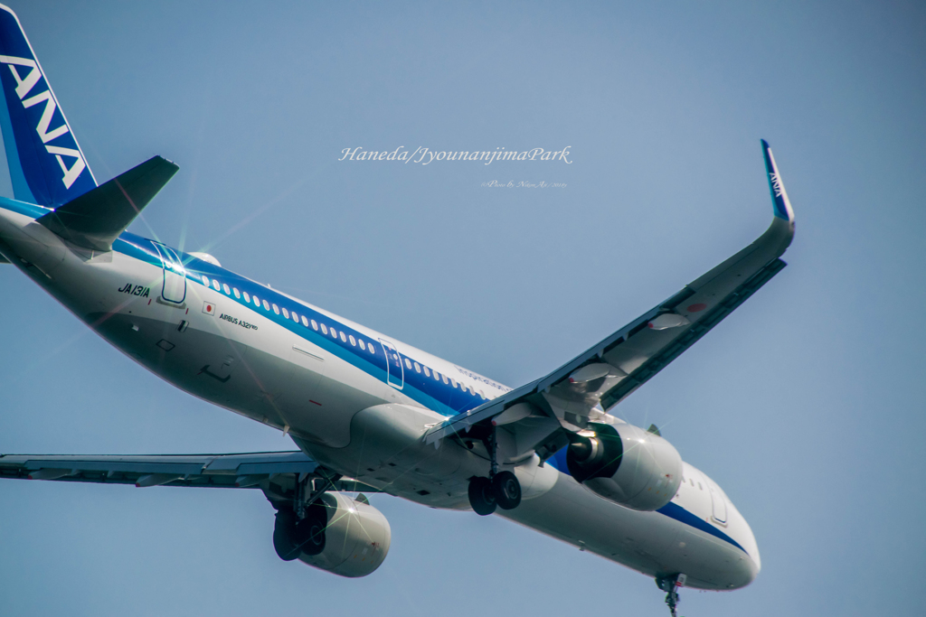 A321neo