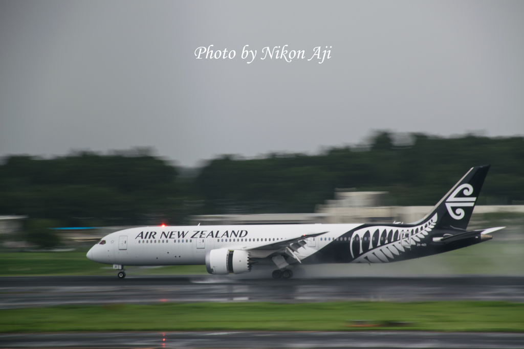 NRT intl. airport terminal 1 north wing