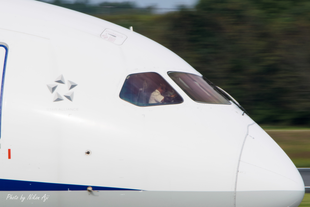 ANA B-787