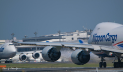NCAとPolar