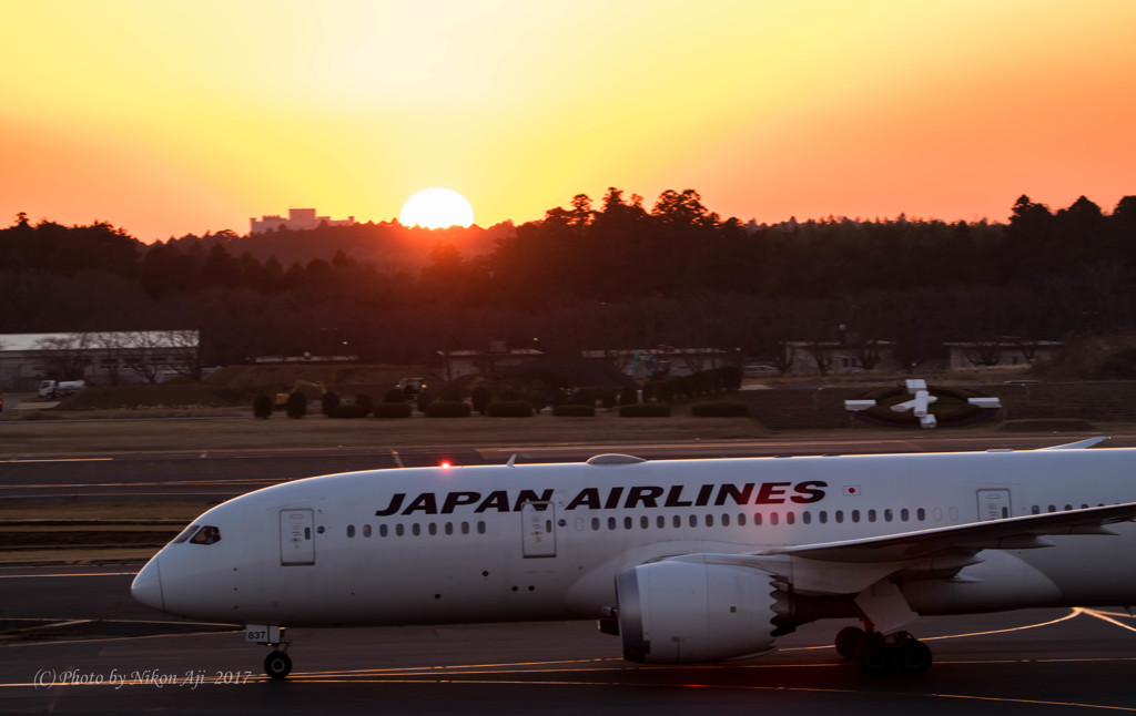 太陽に吠えろ！