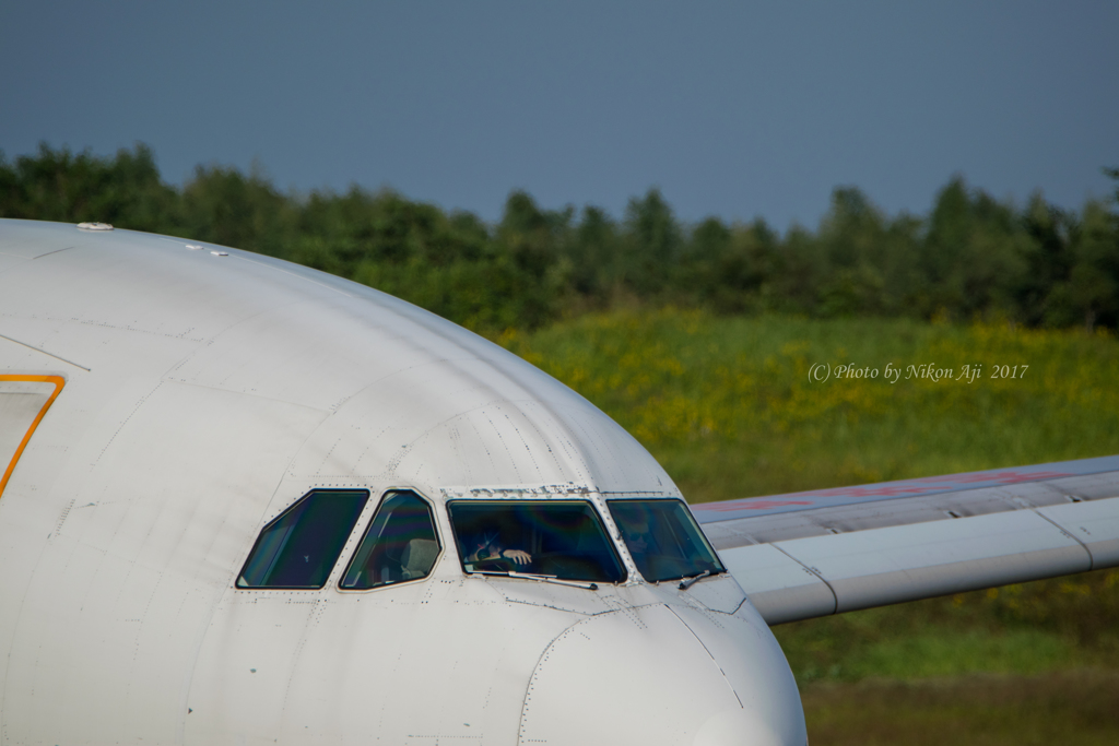 HONGKONG AIRLINES