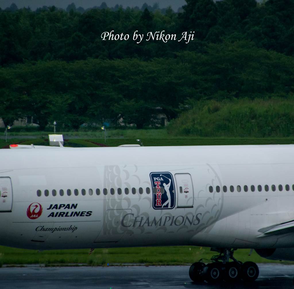 NRT intl. airport terminal 1 north wing