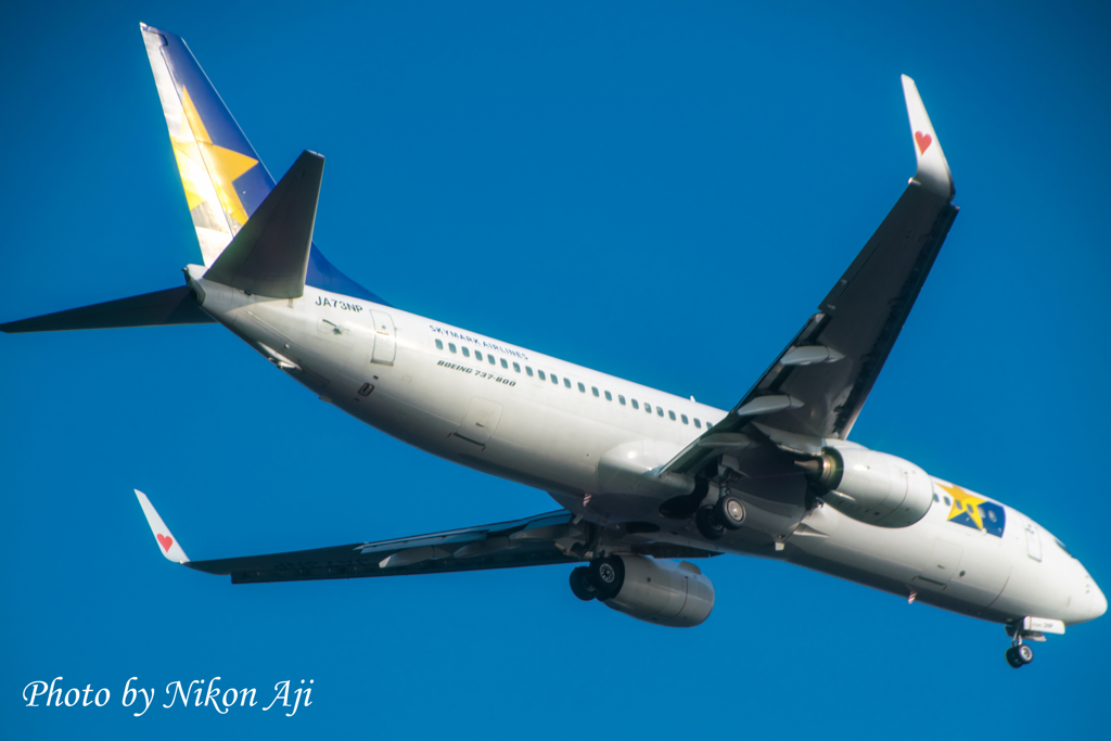 Skymark　Wハート　ゲット！