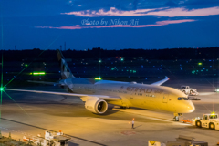 ETIHAD-NIGHT