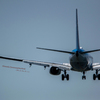 B737