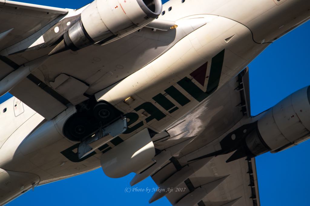 アリタリア航空　A330-200
