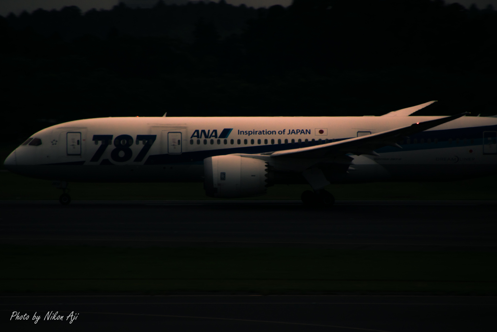 NRT intl. airport terminal 1 north wing